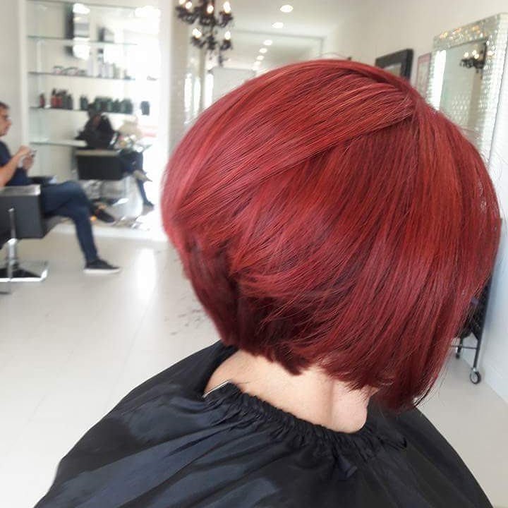 blow dry hair plus
