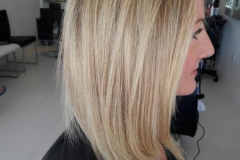 blow dry hair plus