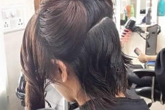 blow dry hair plus