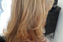blow- dry- hair plus-