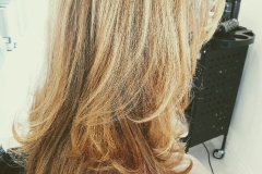 blow- dry- hair plus-