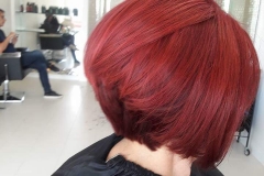 blow dry hair plus