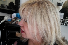 blow dry hair plus