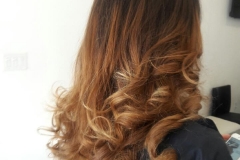 blow dry hair plus
