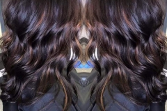 blow- dry- hair plus-