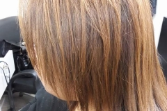 blow- dry- hair plus-