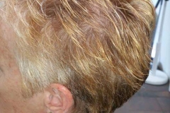 blow- dry- hair plus-