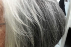 blow- dry- hair plus-