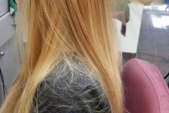 blow- dry- hair plus-