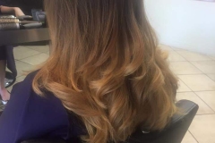 blow- dry- hair plus-