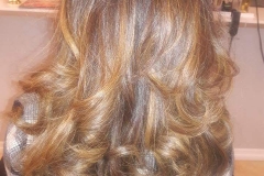 blow- dry- hair plus-