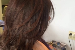 blow dry hair plus