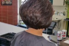 blow dry hair plus
