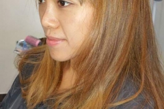 blow dry hair plus