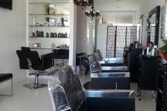 Blow Dry Hair Plus