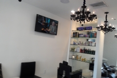 Blow Dry Hair Plus